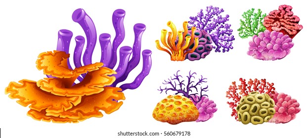 Different kinds of coral reef illustration