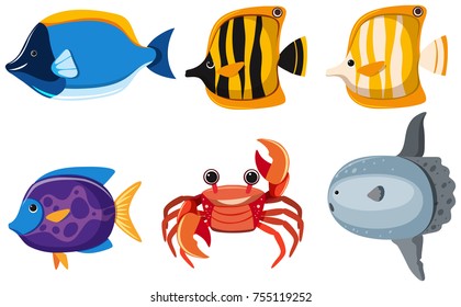 Diferentes tipos de animales bonitos en la ilustración del mar