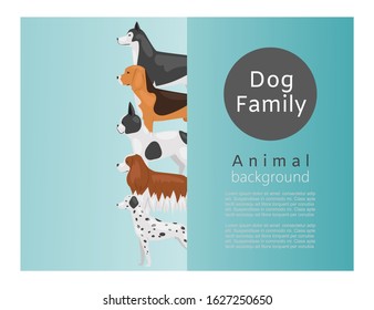 Different kinds of dog breeds vector illustration poster. Big size dogs husky, spaniel and dog for home pets. Happy and friendly dogs presented in cartoon style with text space and typography.