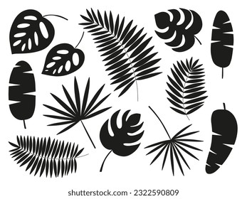 Different kinds of exotic tropical leaves set. Vector tropical leaves silhouette set