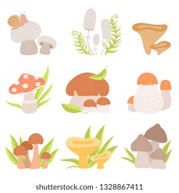 Different Kinds of Forest Mushrooms Set, Edible and Inedible Mushrooms, Wild Organic Products Vector Illustration