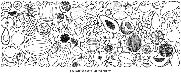 Different kinds of fruits set. Hand drawn vector fruits coloring page