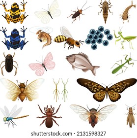 1,119 Grasshopper eggs Images, Stock Photos & Vectors | Shutterstock