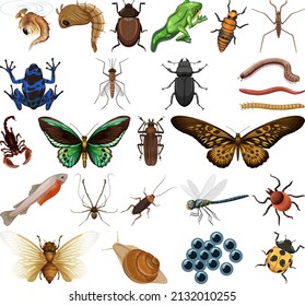 Different kinds of insects and animals on white background illustration