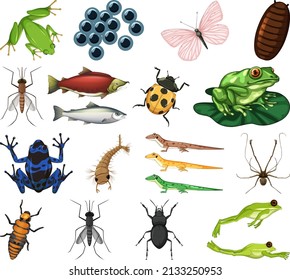 Different kinds of insects and animals on white background illustration