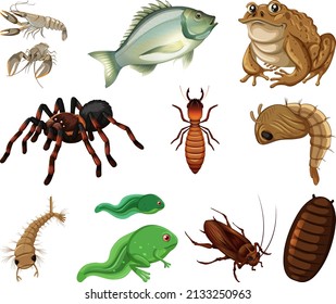 Different kinds of insects and animals on white background illustration