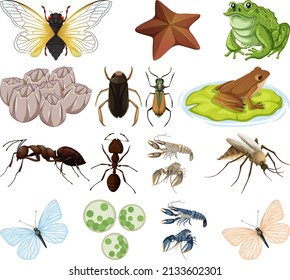 Different kinds of insects and animals on white background illustration