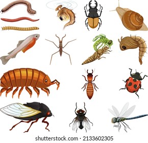 Diferentes tipos de insectos y animales en la ilustración de fondo blanco