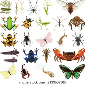 Different kinds of insects and animals on white background illustration