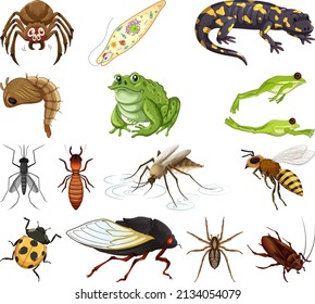 Different kinds of insects and animals on white background illustration