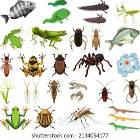 Different kinds insects   animals white background illustration