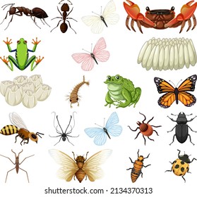 Different kinds of insects and animals on white background illustration
