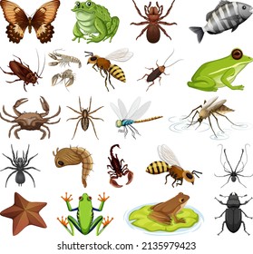 Different kinds of insects and animals on white background illustration