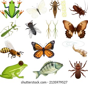 Different kinds of insects and animals on white background illustration