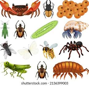 Different kinds of insects and animals on white background illustration
