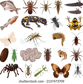 Different kinds of insects and animals on white background illustration