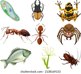 Different kinds of insects and animals on white background illustration