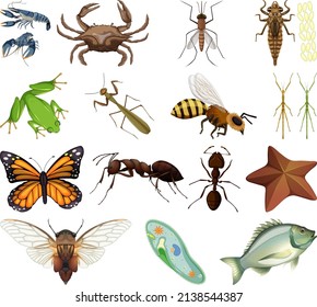 Diferentes tipos de insectos y animales en la ilustración de fondo blanco