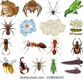 Different kinds of insects and animals on white background illustration