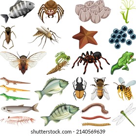 Diferentes tipos de insectos y animales en la ilustración de fondo blanco