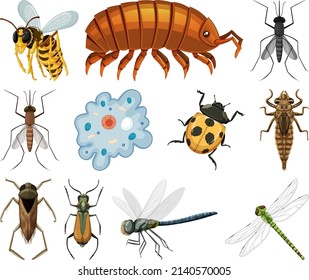 Different kinds of insects and animals on white background illustration