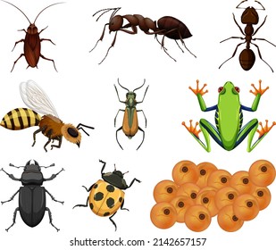 Different kinds of insects and animals on white background illustration