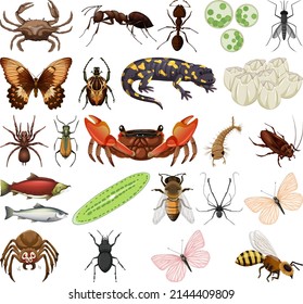 Different kinds of insects and animals on white background illustration