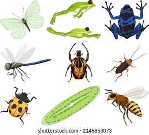 Different kinds of insects and animals on white background illustration