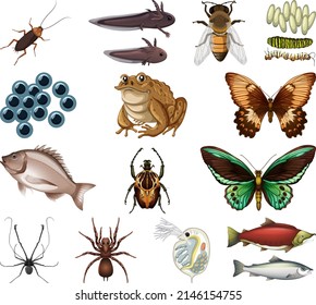 Different kinds of insects and animals on white background illustration