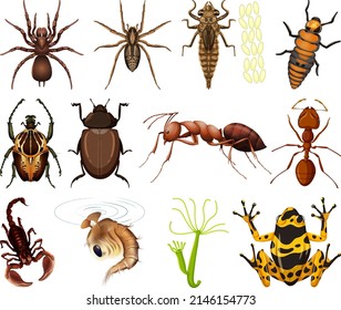 Different kinds of insects and animals on white background illustration