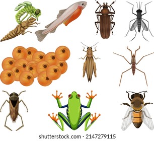Different kinds of insects and animals on white background illustration