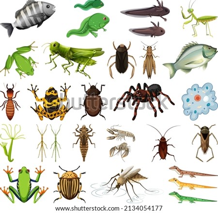 Different kinds of insects and animals on white background illustration
