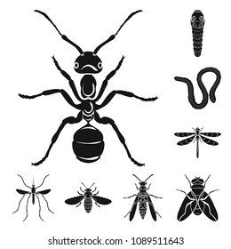 Different kinds of insects black icons in set collection for design. Insect arthropod vector symbol stock web illustration.