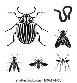 Different kinds of insects black icons in set collection for design. Insect arthropod vector symbol stock web illustration.