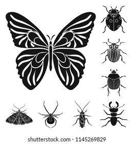 Different kinds of insects black icons in set collection for design. Insect arthropod vector symbol stock web illustration.