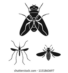 Different kinds of insects black icons in set collection for design. Insect arthropod vector symbol stock web illustration.
