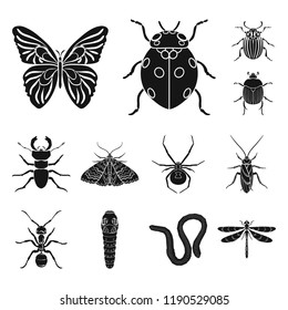 Different kinds of insects black icons in set collection for design. Insect arthropod vector symbol stock web illustration.