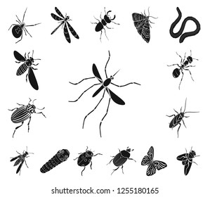 Different kinds of insects black icons in set collection for design. Insect arthropod vector isometric symbol stock web illustration.