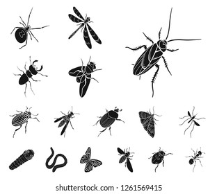 Different Kinds Insects Black Icons Set Stock Vector (Royalty Free ...