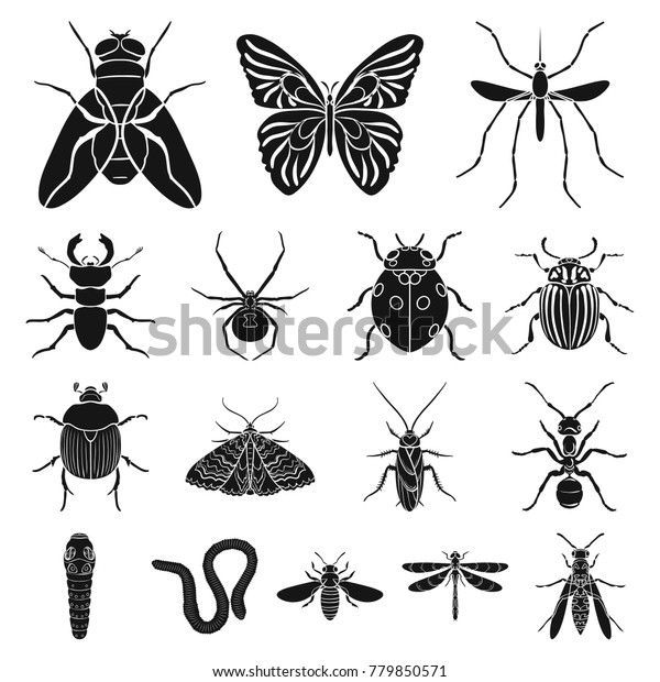 デザイン用のセットコレクションには 虫の種類が異なる黒いアイコンが含まれています 昆虫の節足動物のベクター画像シンボルのウェブイラスト のベクター画像素材 ロイヤリティフリー