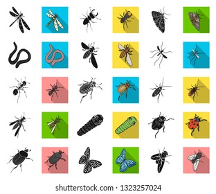 Different kinds of insects black,flat icons in set collection for design. Insect arthropod vector isometric symbol stock web illustration.