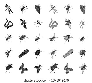 Different kinds of insects black.mono icons in set collection for design. Insect arthropod vector isometric symbol stock web illustration.