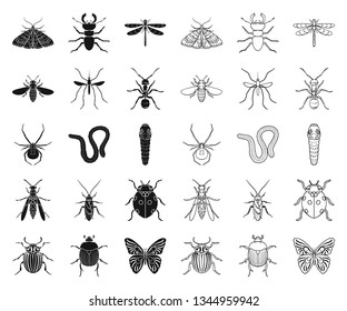 Different kinds of insects black,outline icons in set collection for design. Insect arthropod vector symbol stock web illustration.