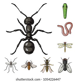 Different kinds of insects cartoon icons in set collection for design. Insect arthropod vector symbol stock web illustration.