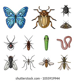 Different kinds of insects cartoon icons in set collection for design. Insect arthropod vector symbol stock web illustration.