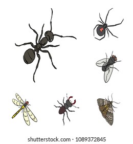 Different kinds of insects cartoon icons in set collection for design. Insect arthropod vector isometric symbol stock web illustration.