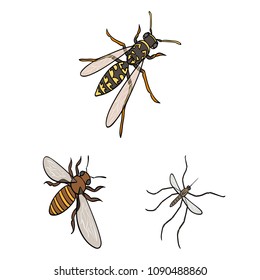 Different kinds of insects cartoon icons in set collection for design. Insect arthropod vector isometric symbol stock web illustration.