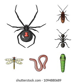 Different kinds of insects cartoon icons in set collection for design. Insect arthropod vector symbol stock web illustration.