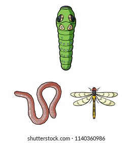 Different kinds of insects cartoon icons in set collection for design. Insect arthropod vector symbol stock web illustration.