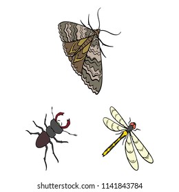 Different kinds of insects cartoon icons in set collection for design. Insect arthropod vector isometric symbol stock web illustration.